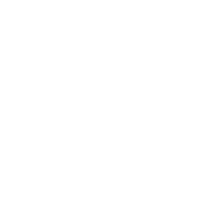 wit.png