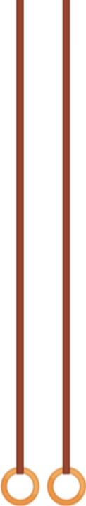 ringen.png (copy)