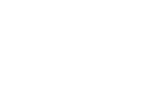 teamnl_combilogo_rgb_... (copy1)