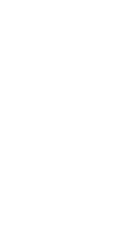 teamnl-monotone-logo-wit.png (copy)