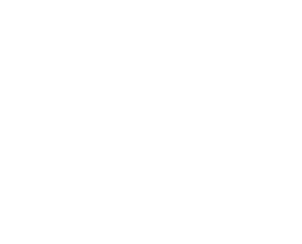 teamnl_combilogo_rgb_... (copy)