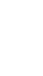 teamnl-monotone-logo-wit.png