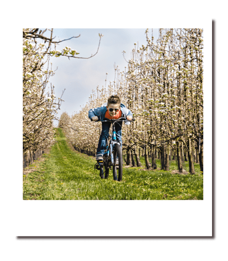 polaroid-2.png