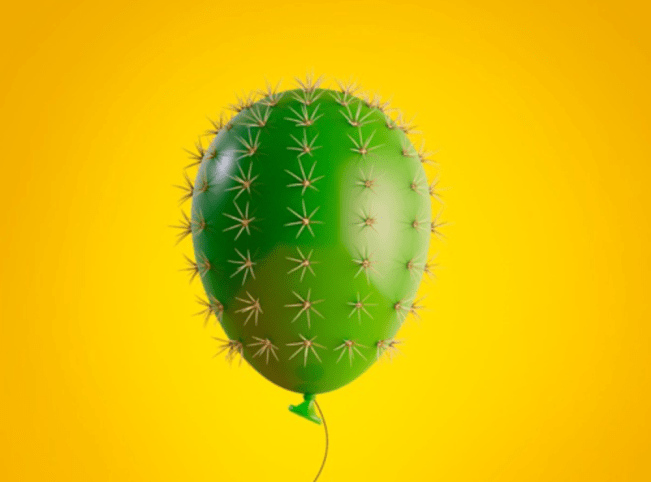 Foto cactus