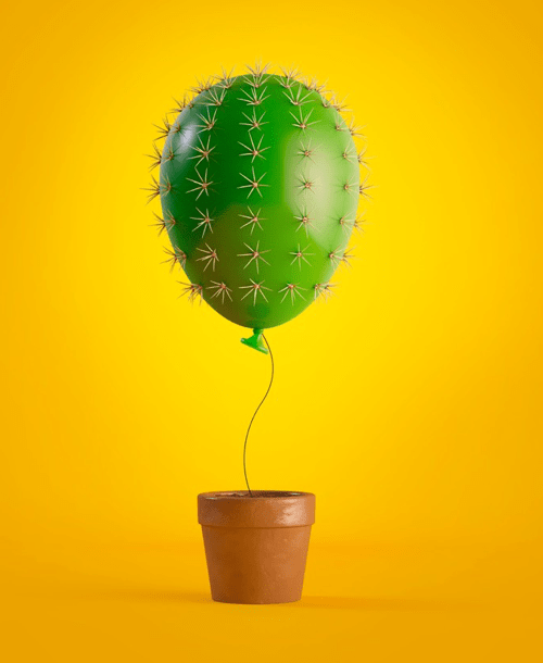 Foto cactus