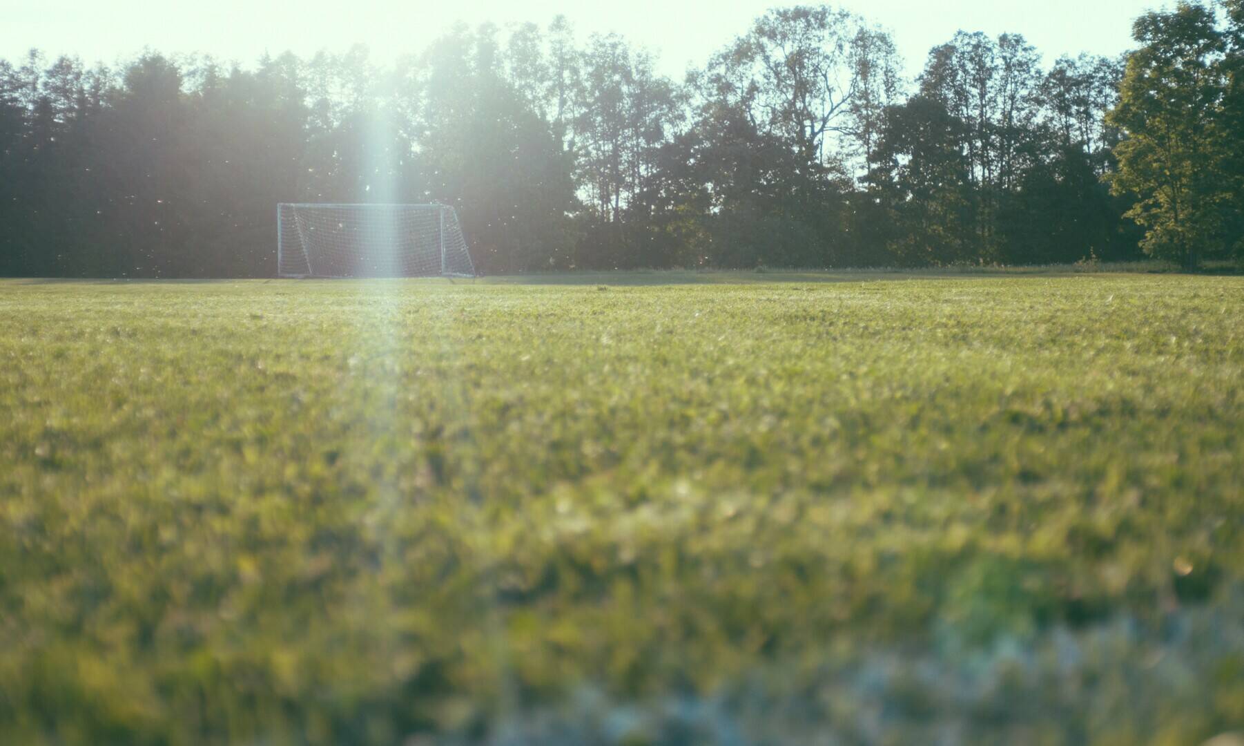 field-with-soccer-goal-near-the-forest.jpg