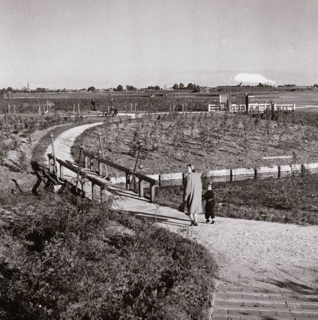 Wandelpad door het pas aangelegde bos in 1939. Foto: Stadsarchief Amsterdam.