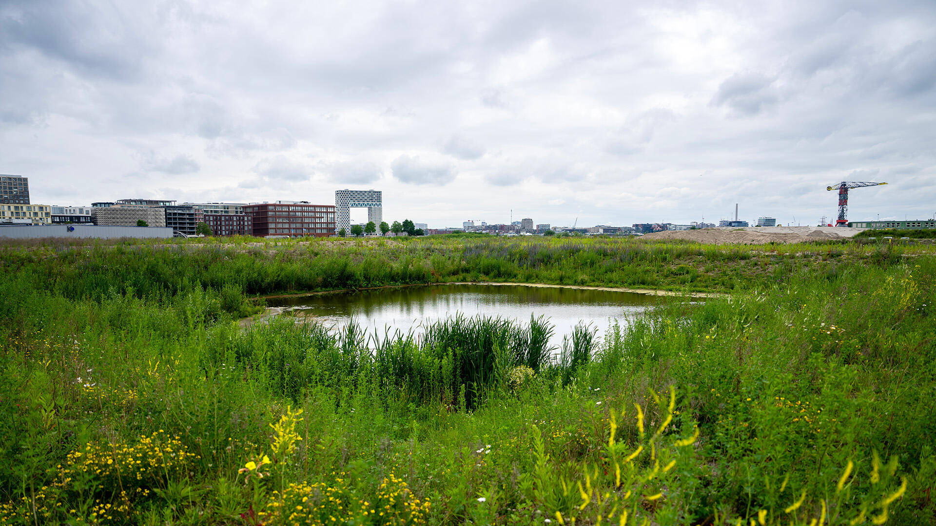 Gebied voor ontwikkeling bedrijventerrein Noord