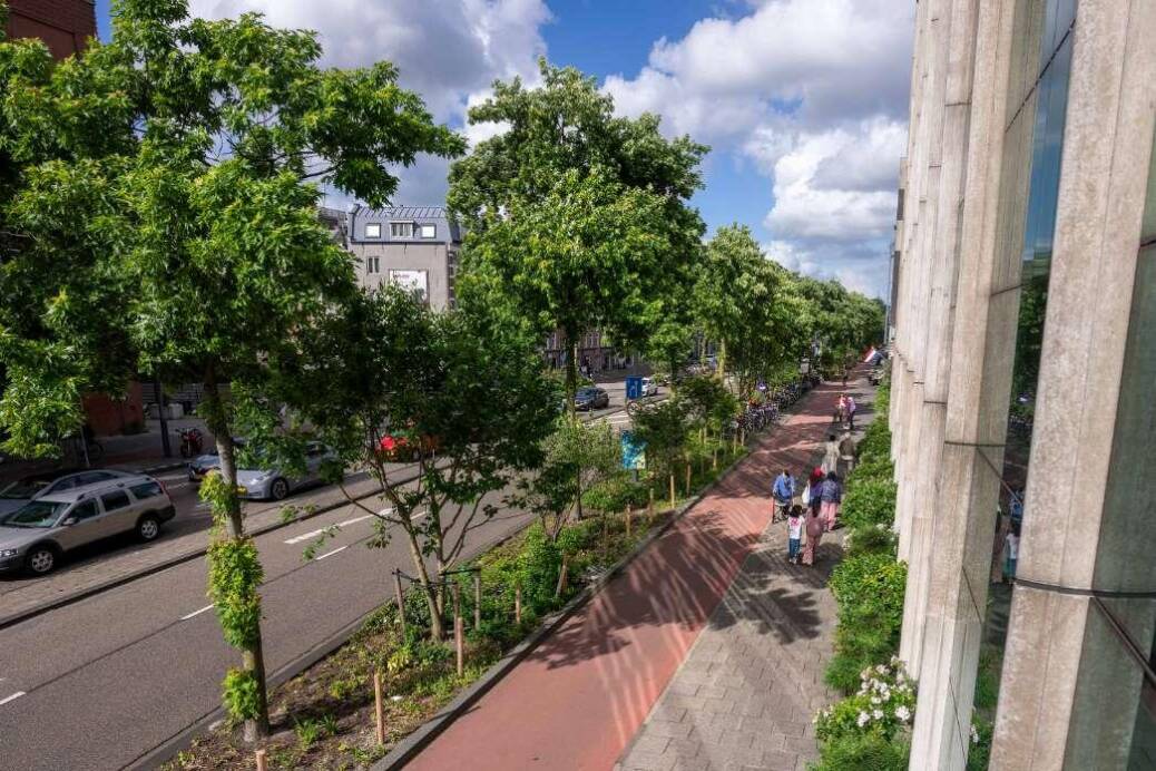 Verschillende soorten bomen en bloemrijk groen in de straat - belangrijk voor ecologie.