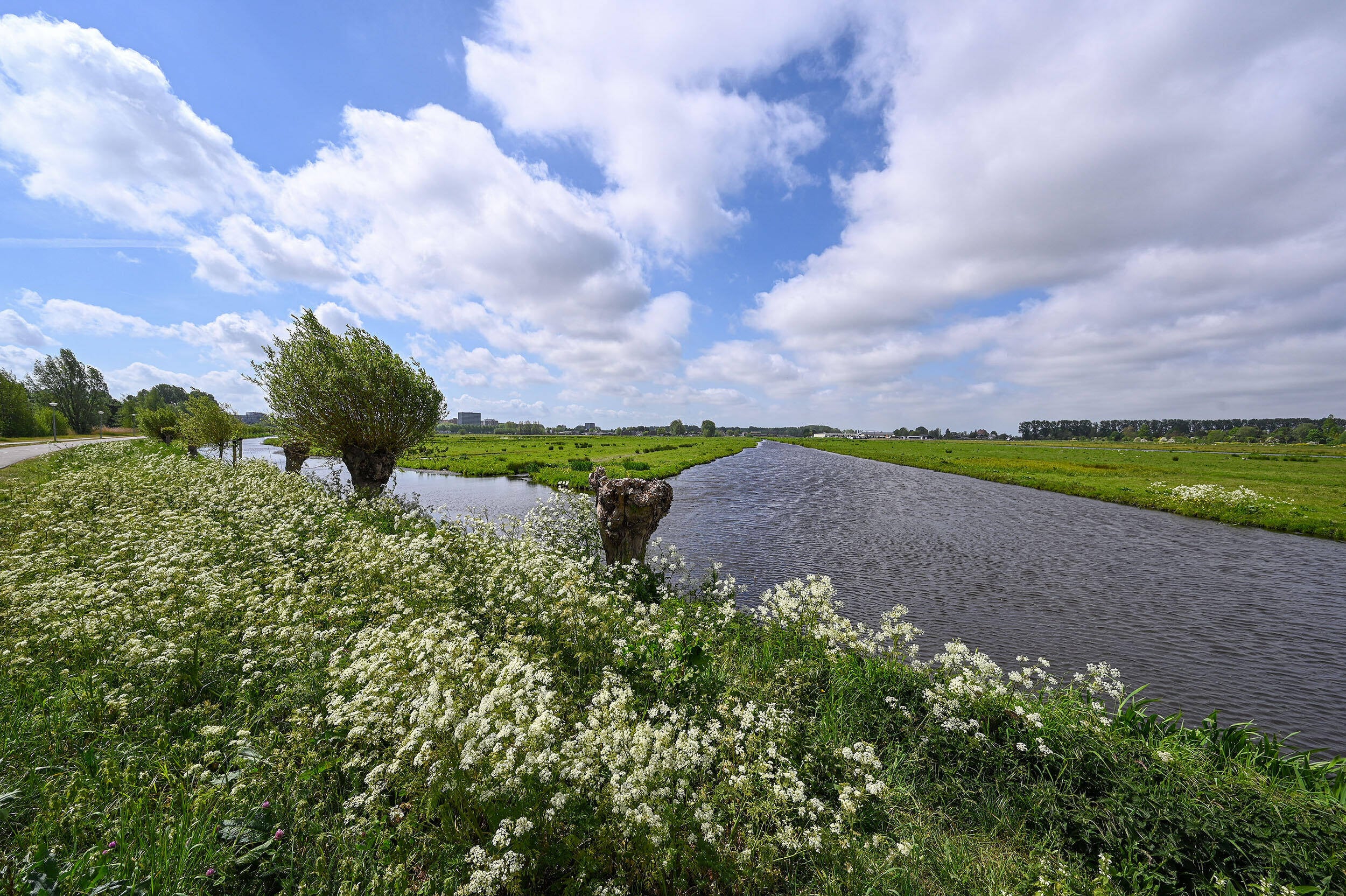 De Tuinen van West, onderdeel van de Scheg van West.