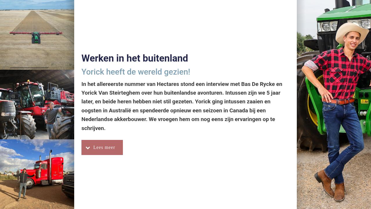 Half Jaar In Het Buitenland Werken