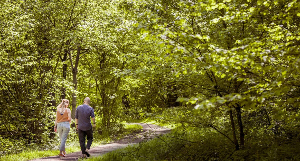 Wandelaars op een zonnige dag in het IJsselsteinse bos
