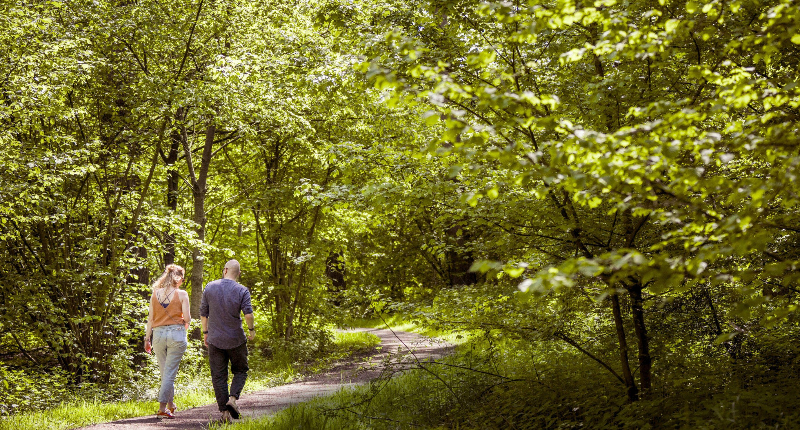 Wandelaars op een zonnige dag in het IJsselsteinse bos
