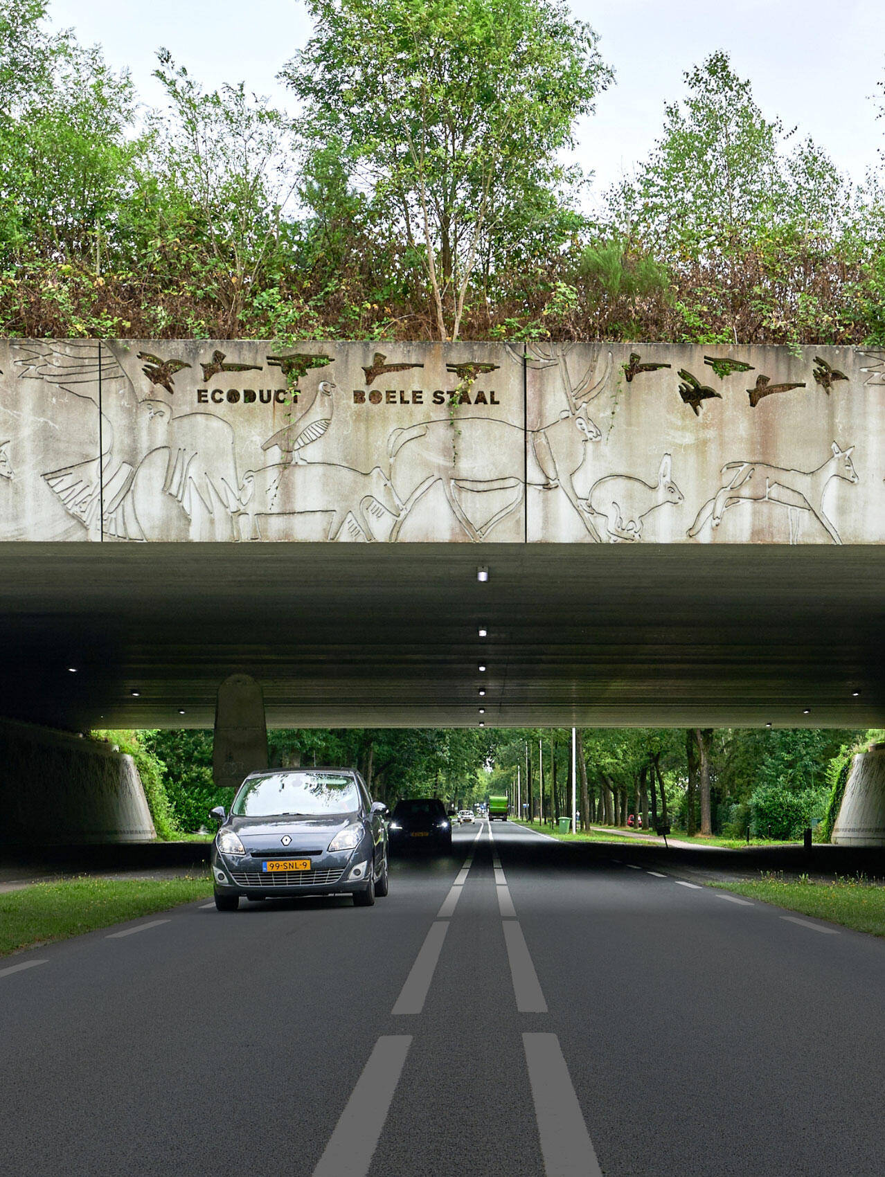 Het Ecoduct Boele Staal verbindt de Leusderheide met de bossen van Soesterberg