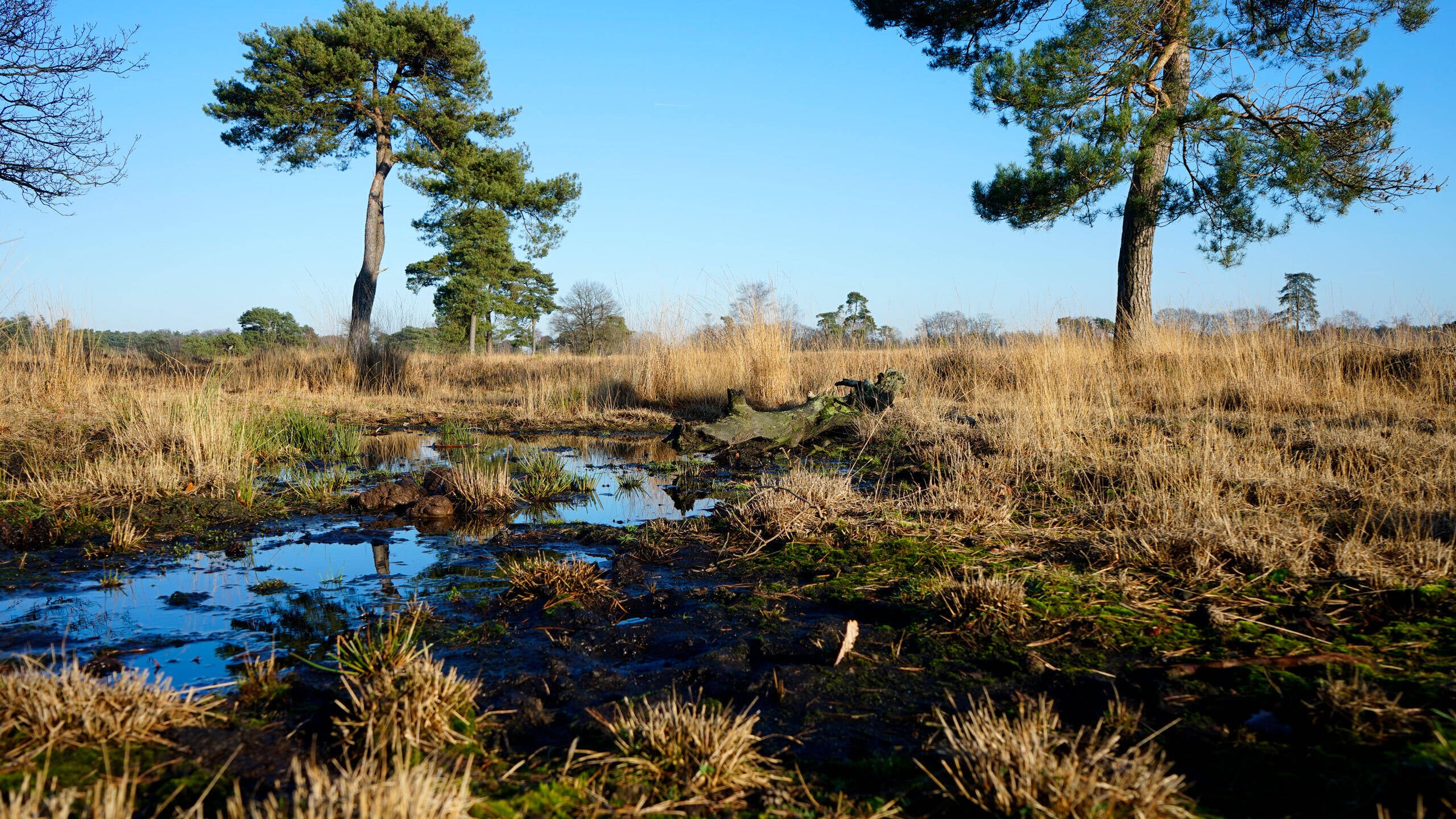 Leersumseveld 2019&nbsp;
Beeldbank provincie Utrecht
