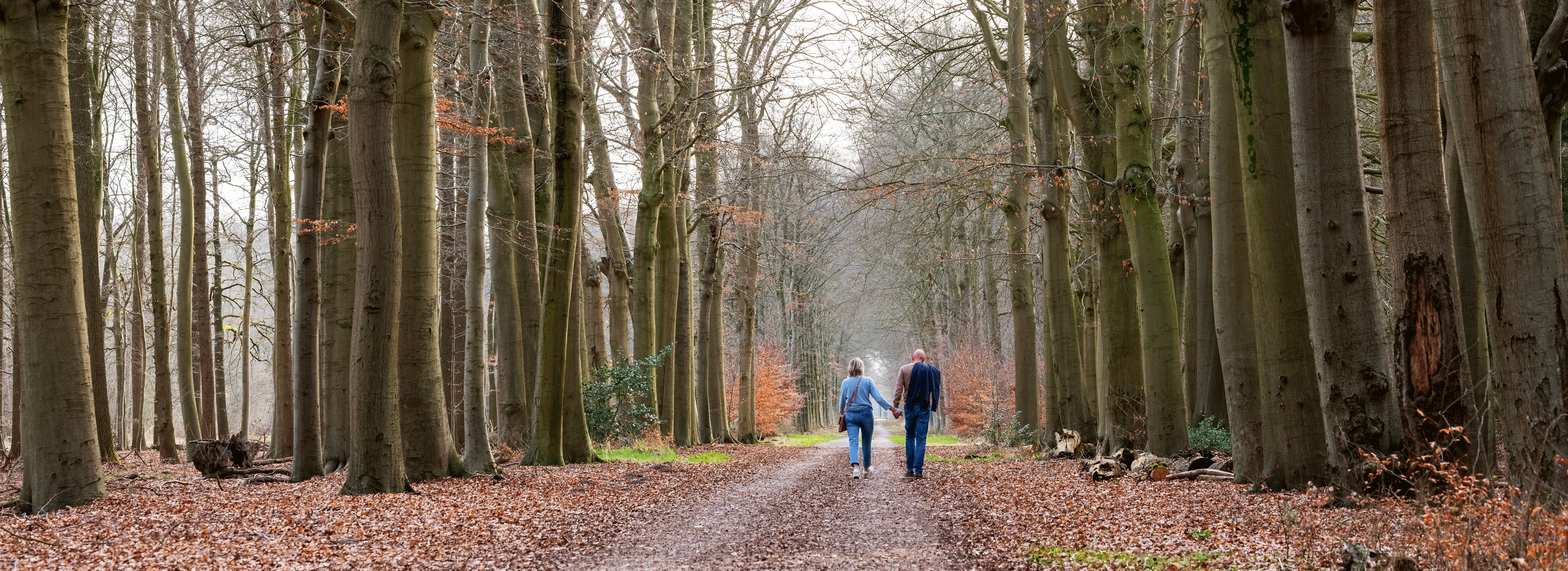 Twee wandelaars lopen hand in hand over een met bladeren bedekt bospad.