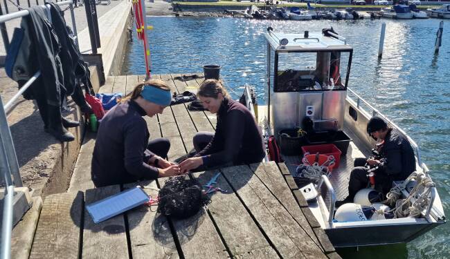 Arbete med spont p&aring;g&aring;r vid Skandiahamnen.