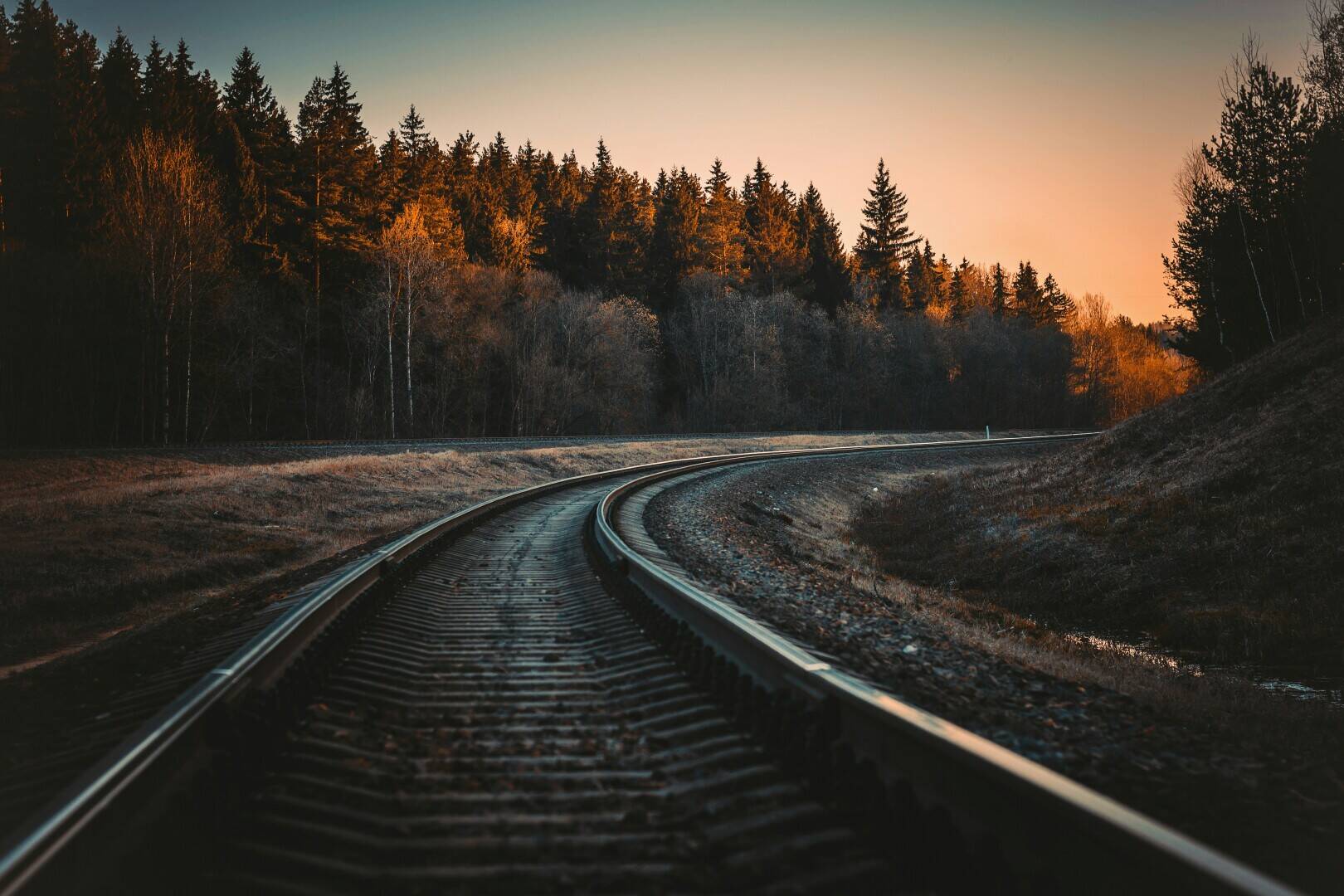 J&auml;rnv&auml;gskurva genom skogen vid solnedg&aring;ng.