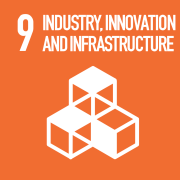 SDG 9 icon