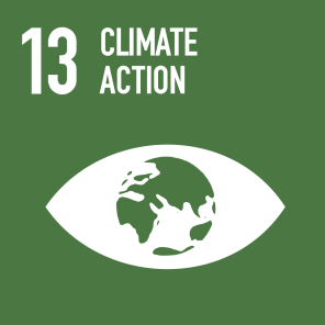 SDG 13 icon