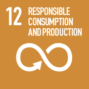 SDG 12 icon