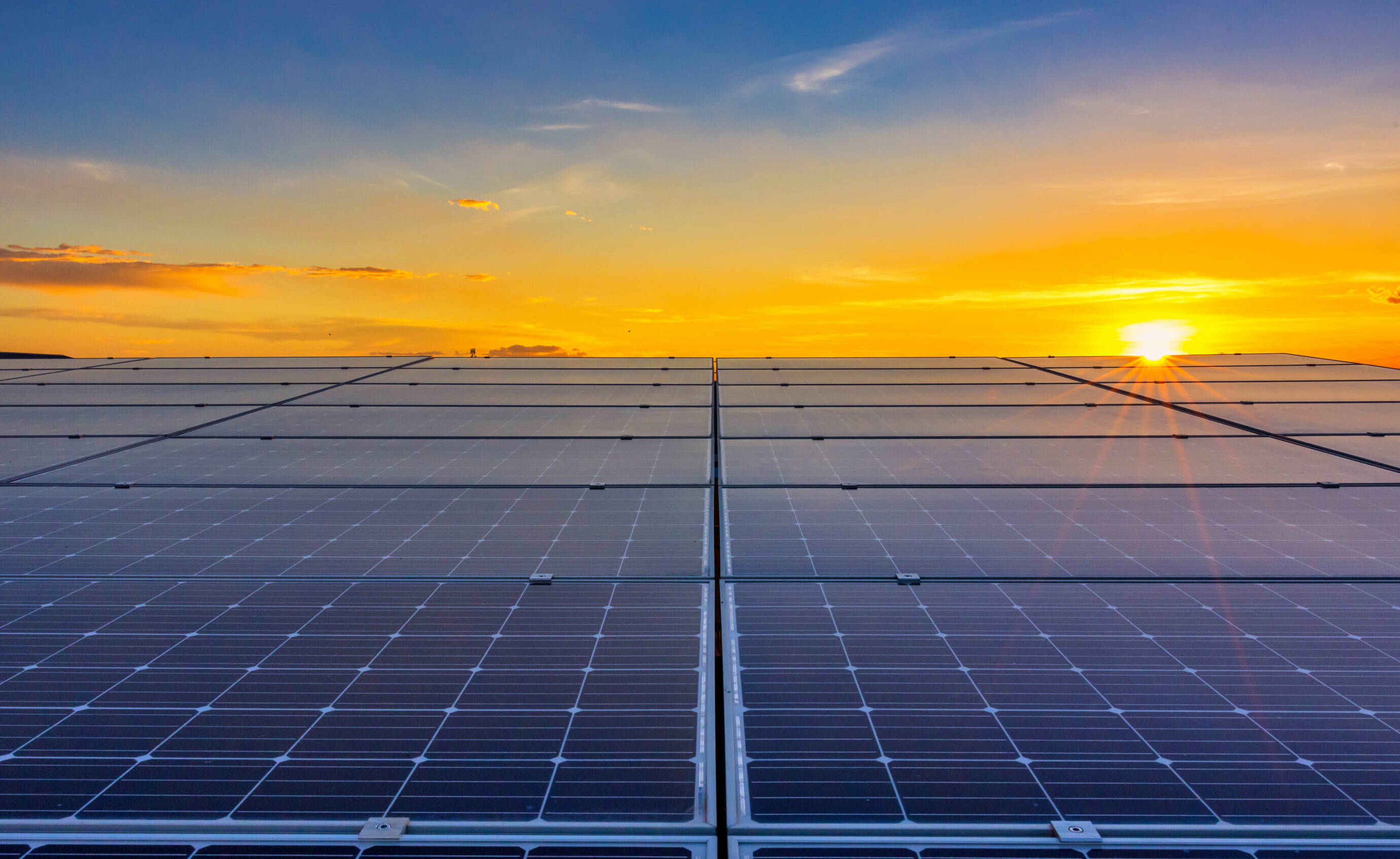 solar panels in the sun