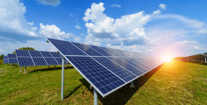 Solar panels in a field with sheep