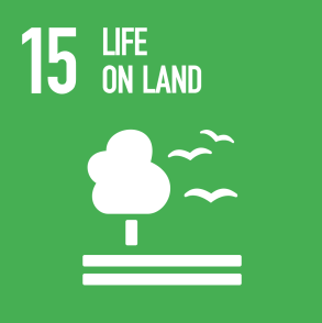 SDG 15 icon