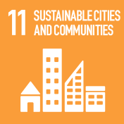 SDG 11 icon