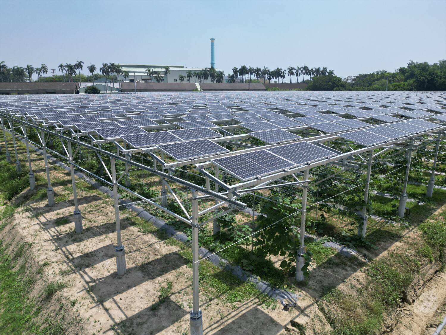 Agrivoltaic instillation