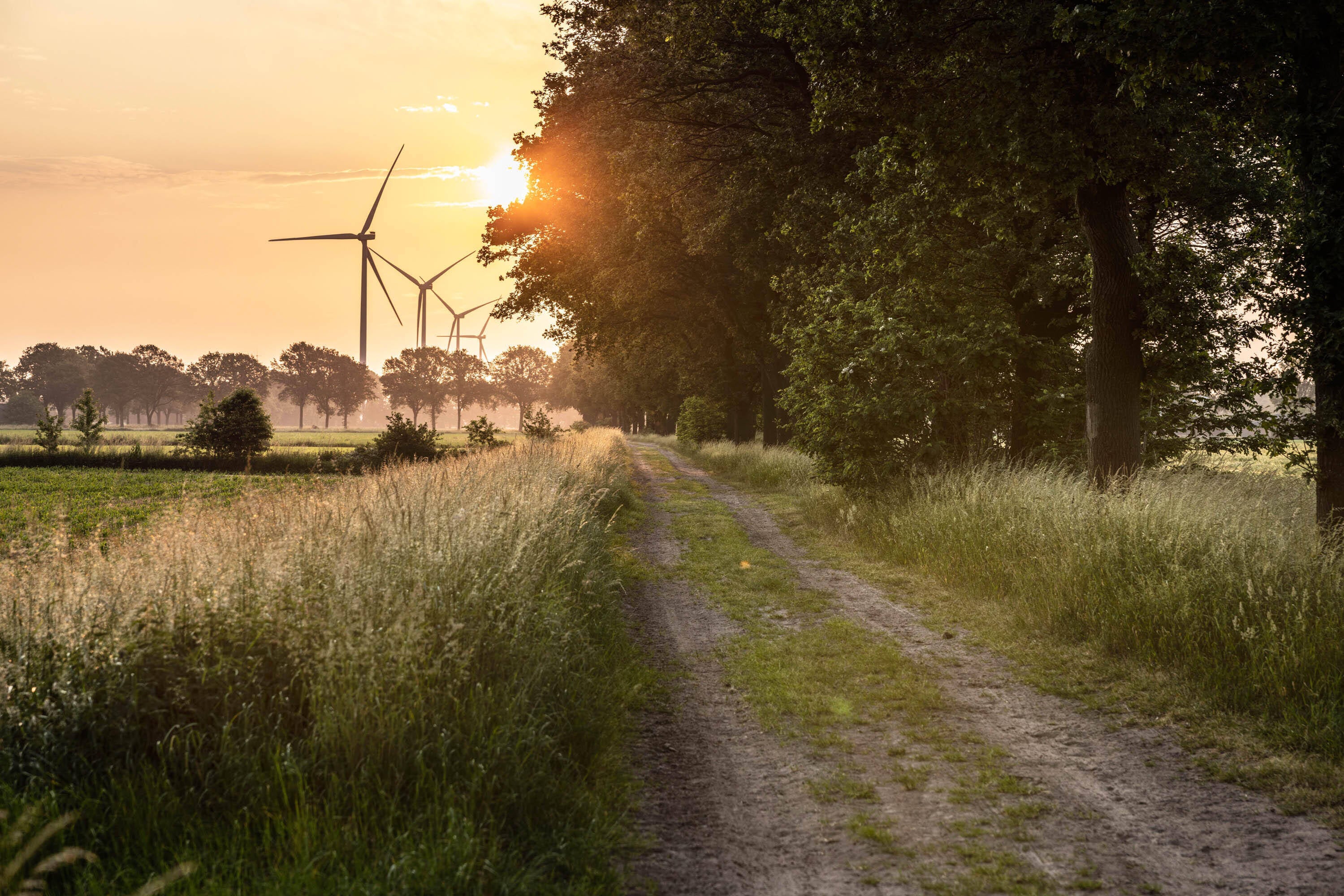 Jongen die basketbalt