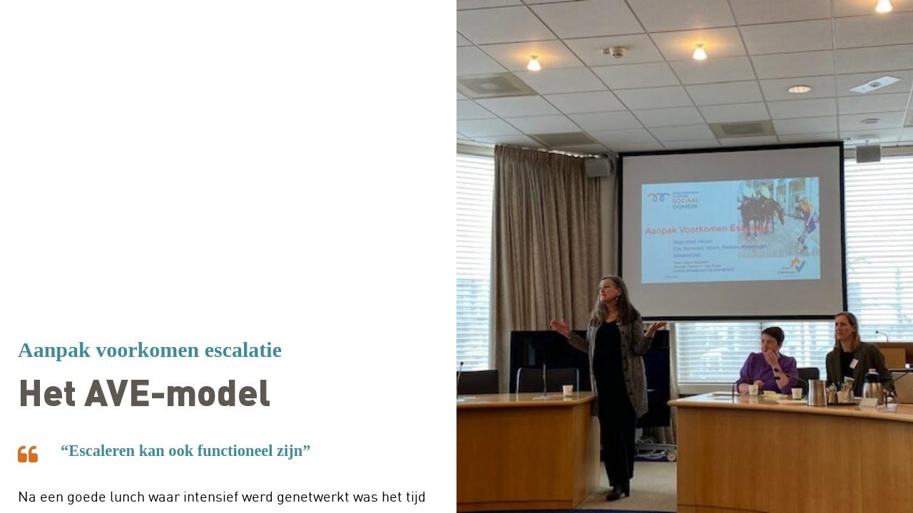 Het AVE-model - Beeldverslag: Samenwerking gemeenten | maart 2023