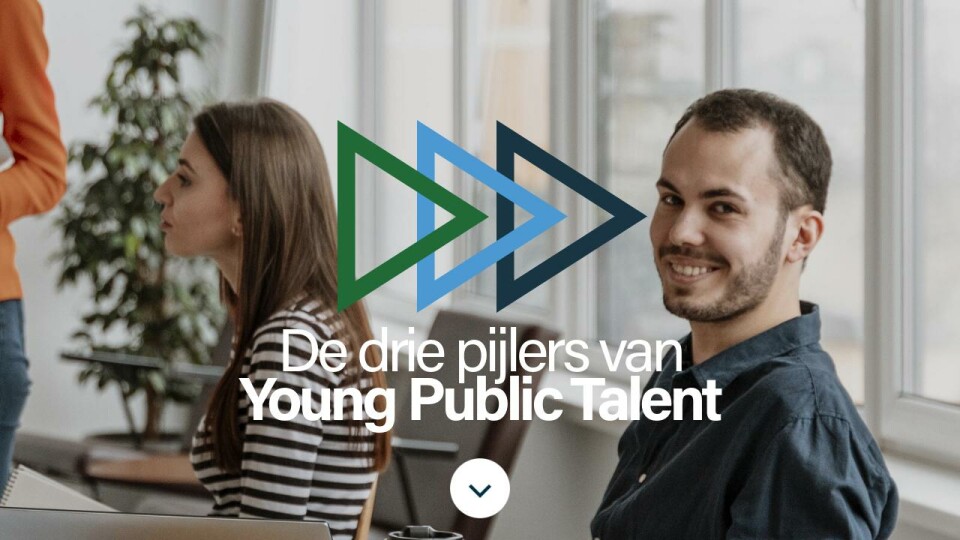 De drie pijlers - Young Public Talent