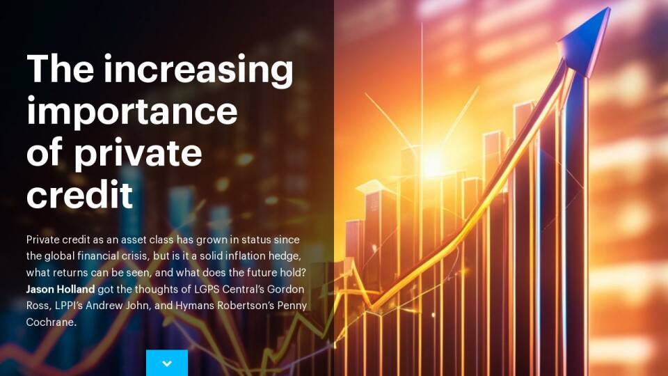 The Increasing Importance Of Private Credit Private Markets Profile   Large 