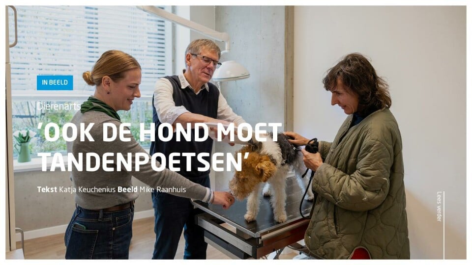 In Beeld - FNV Magazine #4 | 2023