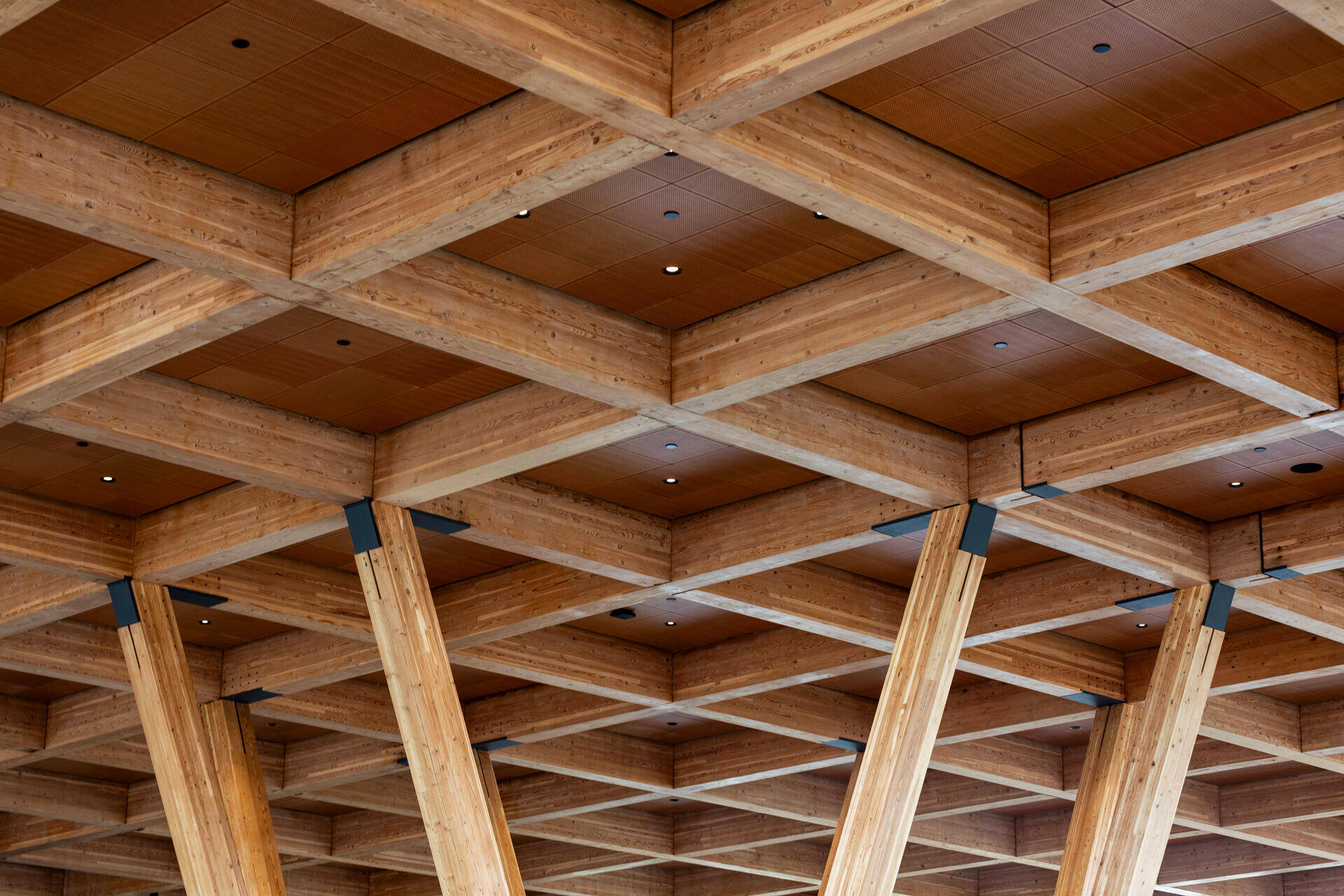 Aerial view of a wooden building under construction