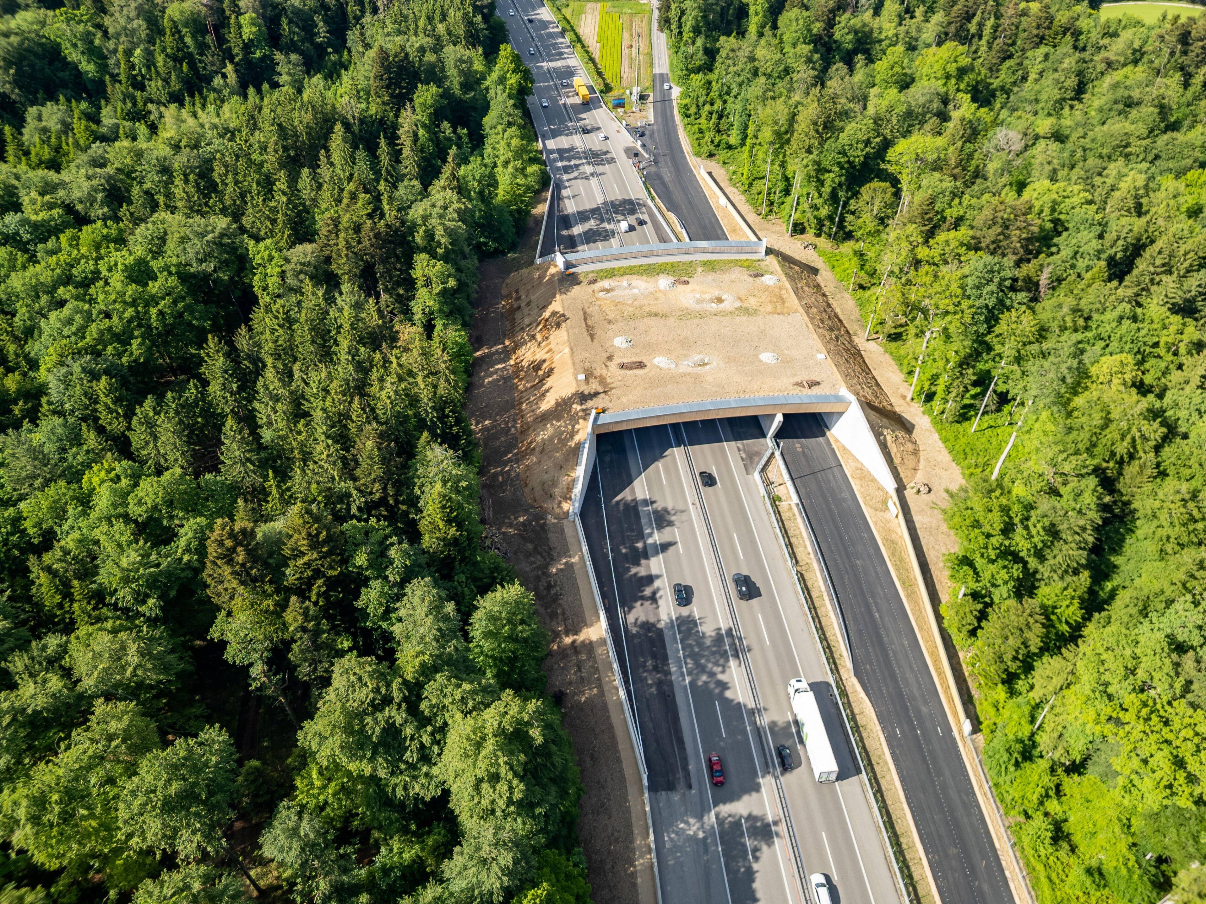 Aerial view of a wooden building under construction