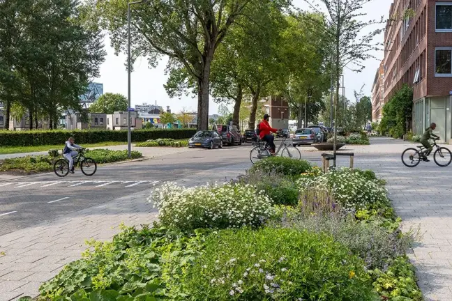 Foto toont overstekende fietsers, veel groenperken, bomen.