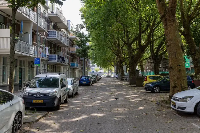 Beeld tooon lage flats aan de Persoonsstraat met auto en bomen
