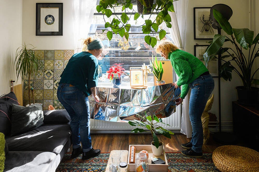 Sloot tussen de weilanden