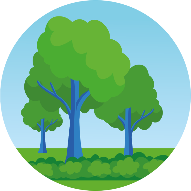 Illustratie van een bos