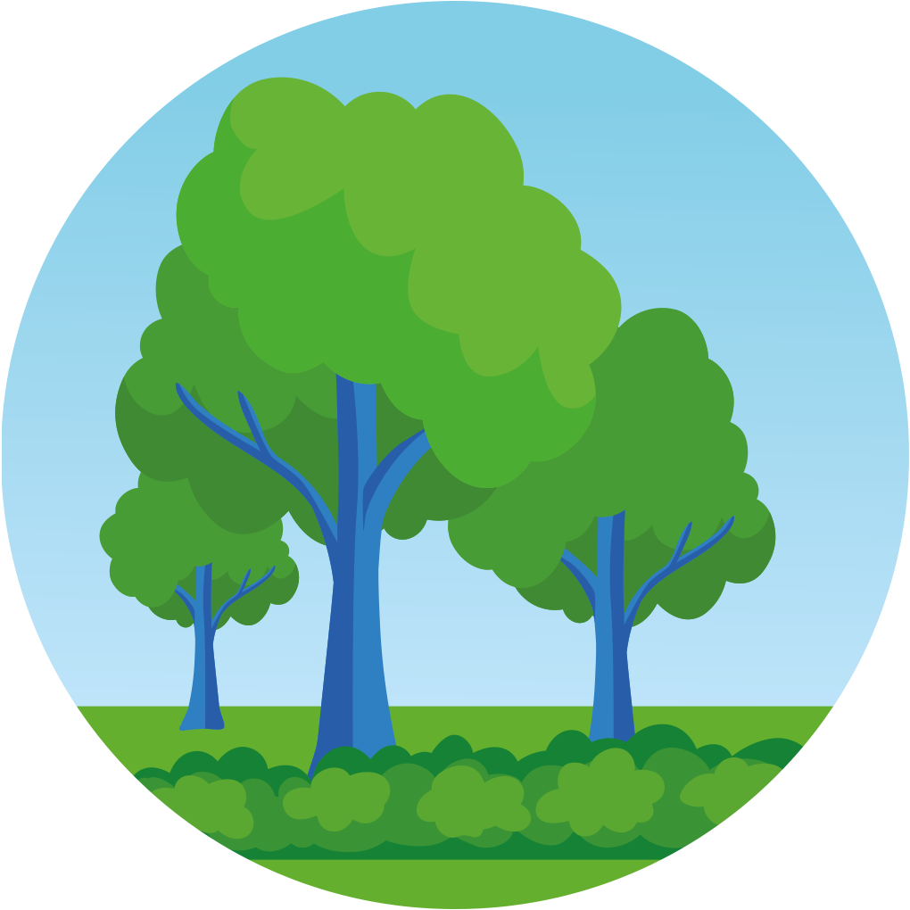 Illustratie van een bos