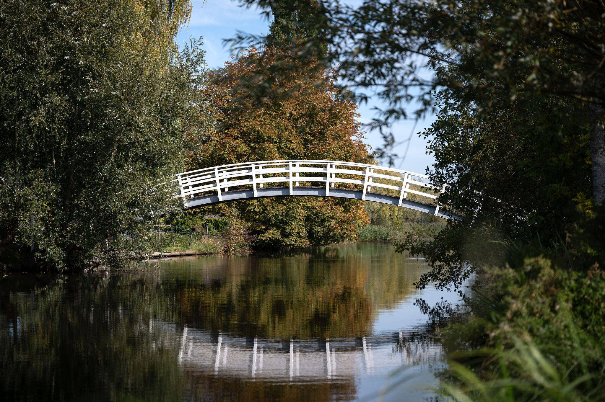 Foto van boogbruggetje bij Molenaarsgraaf