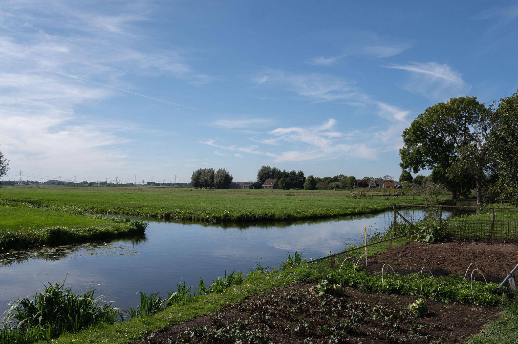 Foto van landschap bij Schelluinen
