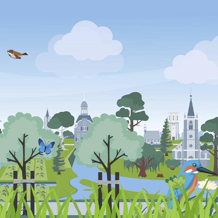 Landschap met rivier en dijk met op de voorgrond aangeplante bomen en dieren ter illustratie van biodiversiteit in gemeente Molenlanden