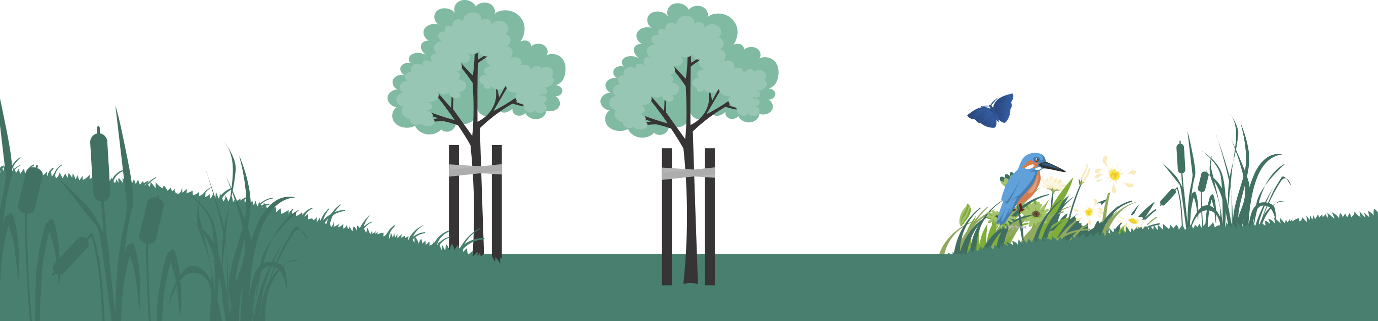 bosrand met nieuw aangeplante bomen