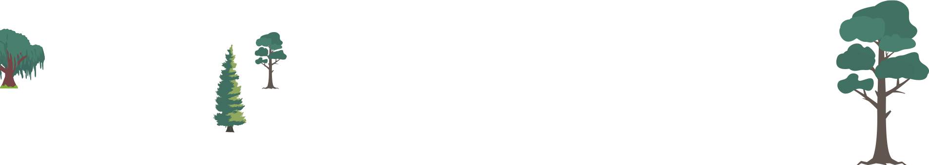 illustratie van verschillende soorten bomen