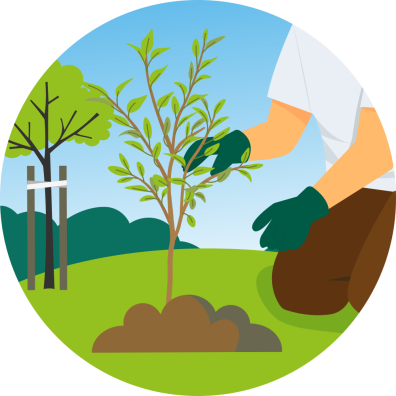 Illustratie van iemand die een nieuwe struik plant