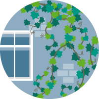 illustratie van klimplanten tegen een gevel van een huis.