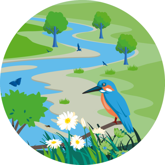 Illustratie van een waterbergingslocatie.